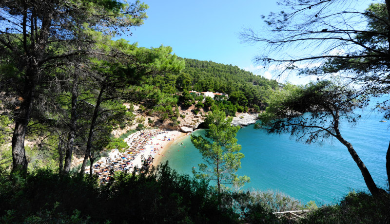 Thumbnail Pugnochiuso Resort